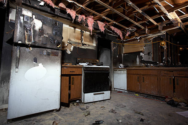 Licensed Fire Damage Removal service in New Auburn, MN - Fire Damage Doption